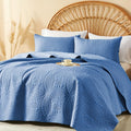 2/3pcs Quilt Set Bedspreads Queen Size - Soft Cool & Refreshing Summer Quilt Lightweight Microfiber Bedspread - Modern Style Coin Pattern Coverlet for All Seasons - Family Gift Set (1 Quilt, 1 Or 2 Pillow Cases)