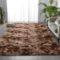 Area Rug Non Slip Backing for Living Room Kitchen Modern Home Decor Floor Decoration Carpet Mat Cute Fluffy Bedroom Rug Easy to Clean Bathroom Rugs
